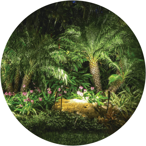 Beautiful landscape lighting